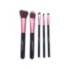 5 Piece Brush Set